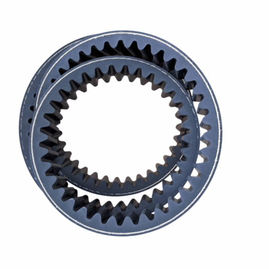 Dois anéis dentados sobrepostos em fundo branco.