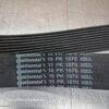 Correias pretas com marcação "Continental 10 PK 1070".