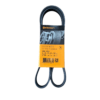 Correia multi V acanalada da marca Continental, modelo 5PK 1212.