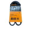 Correia Multi V acanalada Continental 6PK 861.
