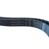 Correia Goodyear Gatorback modelo 6PK1505